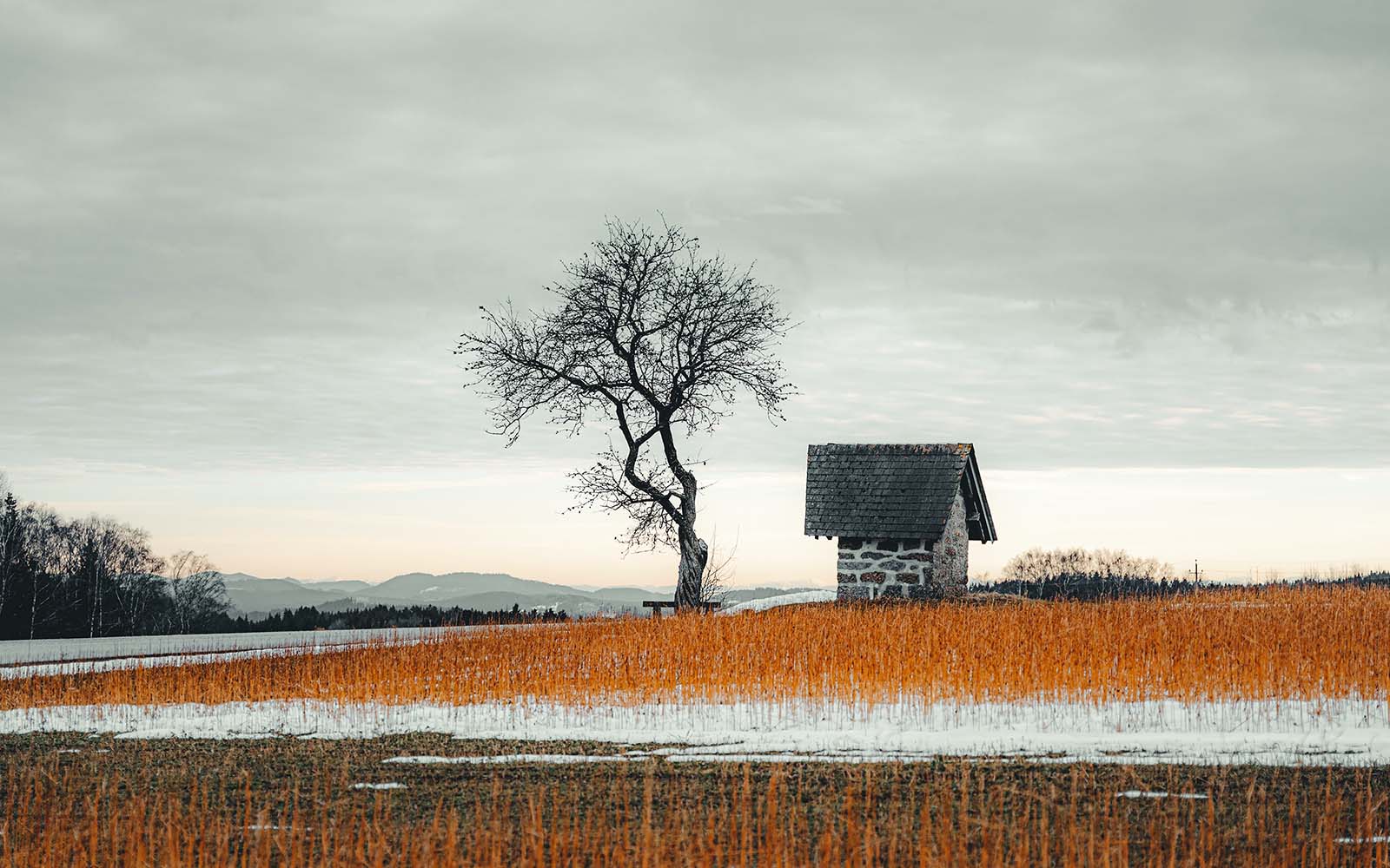Steinbloßkapelle mit Baum in winterlich karger Landschaft