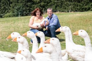 Weidegänse auf der Weide mit Silvia und Martin Kloibhofer Foto: Biohof Obereibensteiner