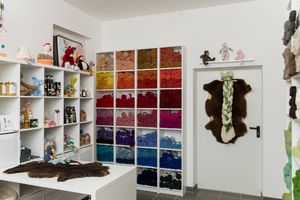 Der Biohofladen Foto:Katharina Punkenhofer Der Biohofladen