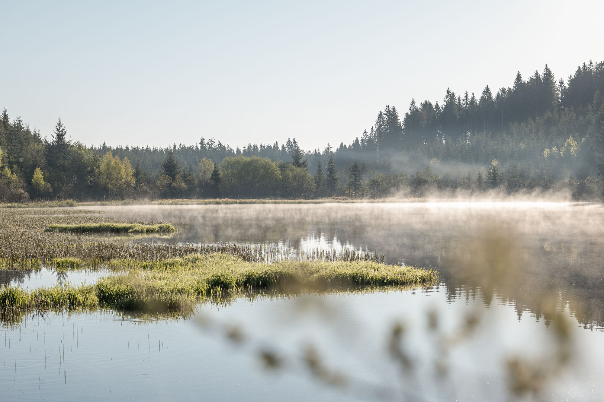 Liebenau Tanner Moor_ Mystische Stimmung über dem Rubener Teich