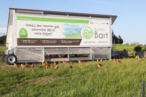 Mobiler Hühnerwagen am Bauernhof Bart Foto:Maria Hölzl-Leitner