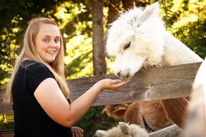 Alpakawollprodukte, Alpakawanderungen Foto: Therese Haslhofer