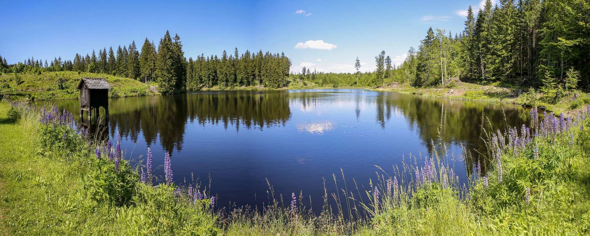 St. Georgen am Walde, Klausteich St. Georgen am Walde, Klausteich