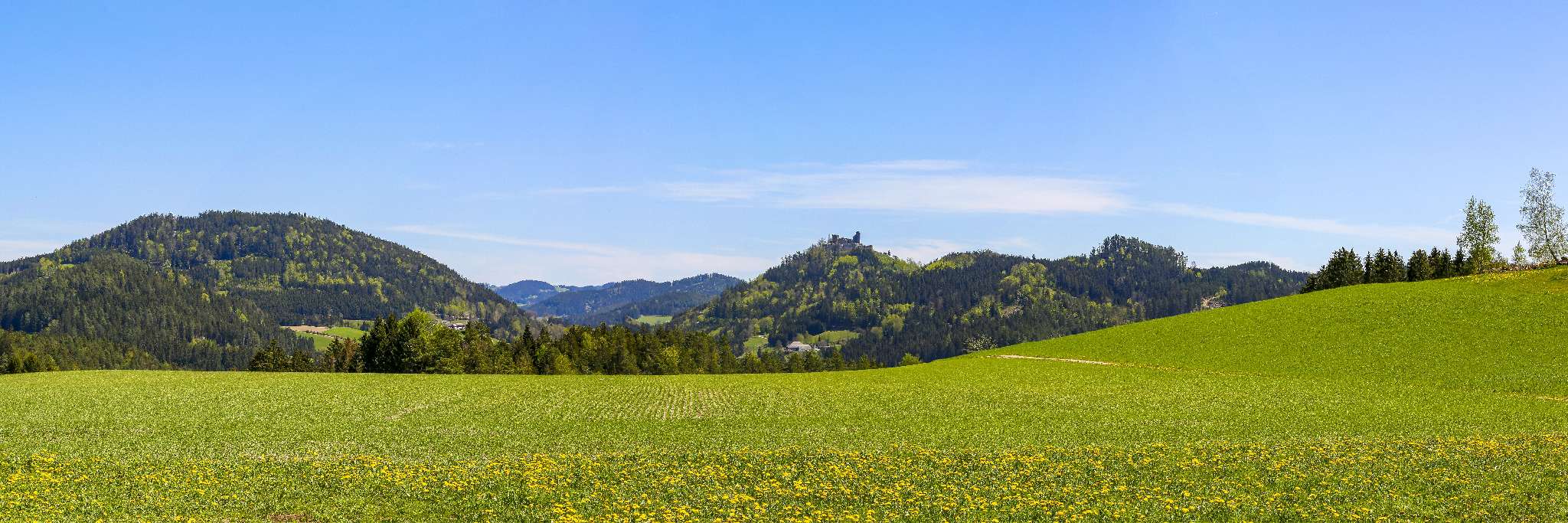 Frühling auf der Mühlviertler Alm